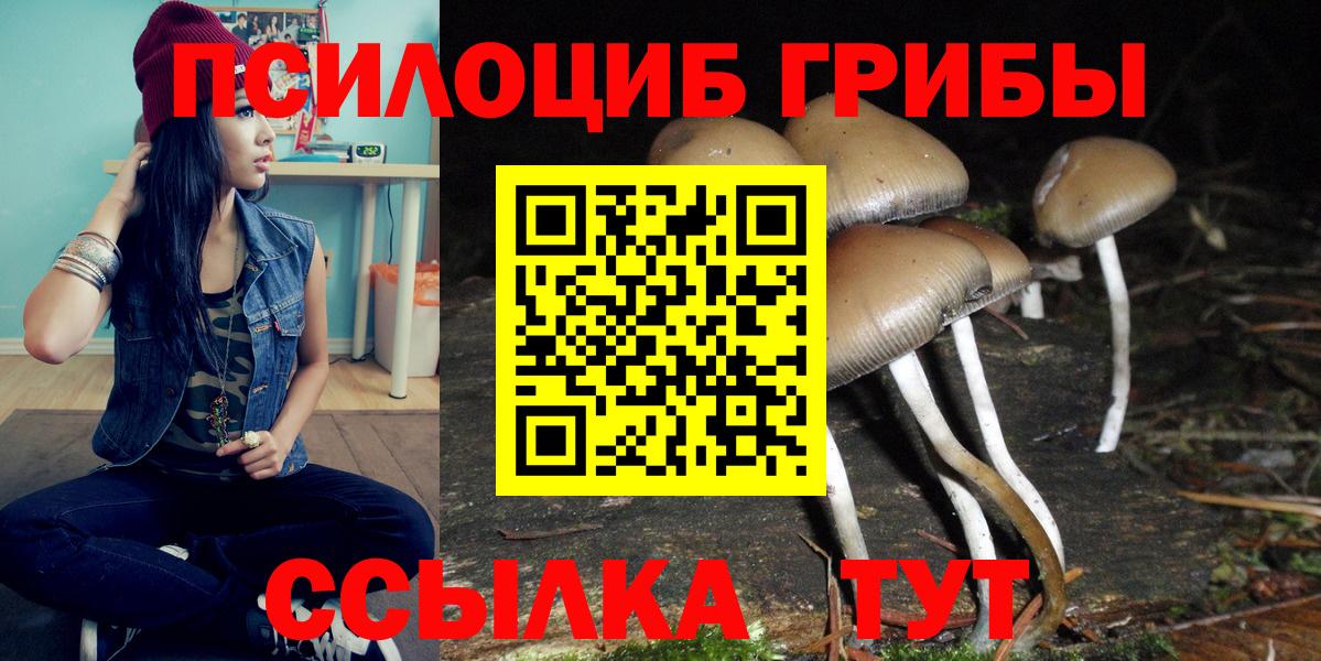 где можно купить наркотик  Вход с VPN  Галлюциногенные грибы Cubensis  Истра  Галлюциногенные грибы мицелий 